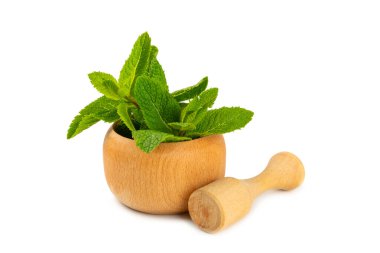 Beyaz arka planda izole edilmiş havan ve kabuklu taze nane. Melissa gider. Şifalı bitkiler, ilaç için havanda yeşil nane yaprakları. Mesaj için alan. Boşluğu kopyala.