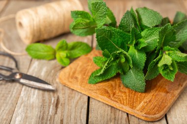 Naneli. Ahşap arka planda taze organik nane yaprakları. Nane yaprakları. Nane şekeri. Yakın plan. Mesaj için yer var. Boşluğu kopyala.