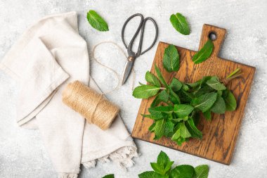 Naneli. Ahşap arka planda taze organik nane yaprakları. Nane yaprakları. Nane şekeri. Yakın plan. Mesaj için yer var. Boşluğu kopyala.