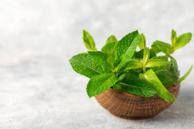 Naneli. Ahşap arka planda taze organik nane yaprakları. Nane yaprakları. Nane şekeri. Yakın plan. Mesaj için yer var. Boşluğu kopyala.