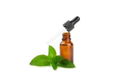 Beyaz arka planda izole edilmiş temel yağ nanesi. Naneli esaslı yağ ve taze nane yaprakları. Bir şişe aromaterapi yağı. Nane özütü. Doğal kozmetik konsepti, spa bakımı