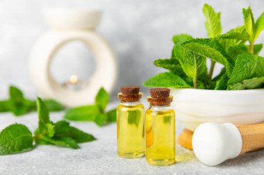 Ahşap bir arka planda esaslı bir nane şekeri. Naneli esaslı yağ ve taze nane yaprakları. Bir şişe aromaterapi yağı. Nane özütü. Doğal kozmetik konsepti, spa bakımı. Boşluğu kopyala