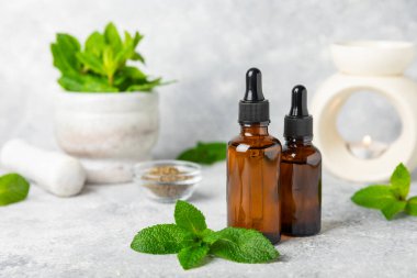 Ahşap bir arka planda esaslı bir nane şekeri. Naneli esaslı yağ ve taze nane yaprakları. Bir şişe aromaterapi yağı. Nane özütü. Doğal kozmetik konsepti, spa bakımı. Boşluğu kopyala