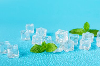 Arka planda nane ve buz var. Yeşil taze nane ve buz küpü. Nane yaprağı, buz küpü ve soğuk içecek için su damlası. Üst Manzara. Mesaj için yer var. Boşluğu kopyala.