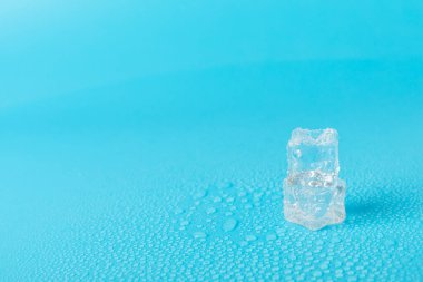 Arka planda nane ve buz var. Yeşil taze nane ve buz küpü. Nane yaprağı, buz küpü ve soğuk içecek için su damlası. Üst Manzara. Mesaj için yer var. Boşluğu kopyala.