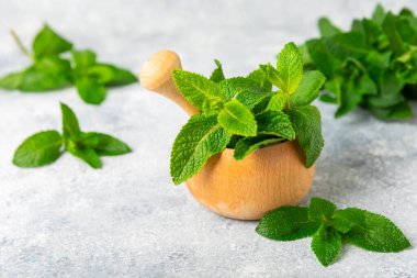 Ahşap zemin üzerinde havan ve kabuk ile taze nane. Melissa gider. Şifalı bitkiler, ilaç için havanda yeşil nane yaprakları. Mesaj için alan. Boşluğu kopyala.