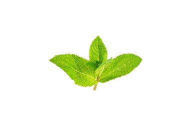 Naneli. Beyaz arka planda izole edilmiş taze organik nane yaprakları. Nane yaprakları. Nane şekeri. Yakın plan..