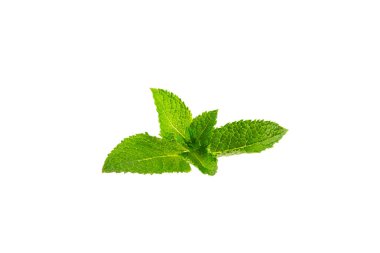 Naneli. Beyaz arka planda izole edilmiş taze organik nane yaprakları. Nane yaprakları. Nane şekeri. Yakın plan..