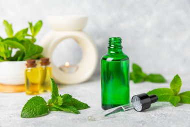Ahşap bir arka planda esaslı bir nane şekeri. Naneli esaslı yağ ve taze nane yaprakları. Bir şişe aromaterapi yağı. Nane özütü. Doğal kozmetik konsepti, spa bakımı. Boşluğu kopyala