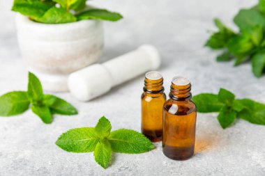 Ahşap bir arka planda esaslı bir nane şekeri. Naneli esaslı yağ ve taze nane yaprakları. Bir şişe aromaterapi yağı. Nane özütü. Doğal kozmetik konsepti, spa bakımı. Boşluğu kopyala