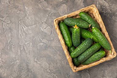 Ahşap arka planda salatalık. Arka planda bir parça salatalık. Taze organik yeşil salatalık turşusu. Vejetaryen. Salata malzemesi. Çiftlik sebzeleri. Sebzeleri bıçakla kes. Mesaj için yer var. Boşluğu kopyala