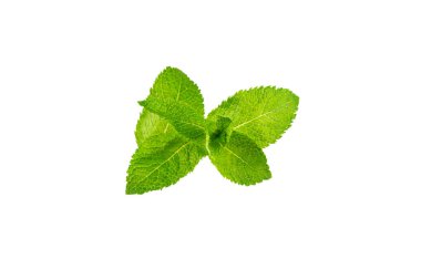 Naneli. Beyaz arka planda izole edilmiş taze organik nane yaprakları. Nane yaprakları. Nane şekeri. Yakın plan..
