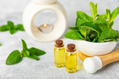 Ahşap bir arka planda esaslı bir nane şekeri. Naneli esaslı yağ ve taze nane yaprakları. Bir şişe aromaterapi yağı. Nane özütü. Doğal kozmetik konsepti, spa bakımı. Boşluğu kopyala