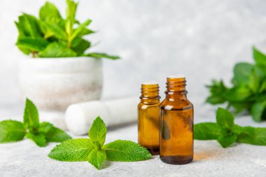 Ahşap bir arka planda esaslı bir nane şekeri. Naneli esaslı yağ ve taze nane yaprakları. Bir şişe aromaterapi yağı. Nane özütü. Doğal kozmetik konsepti, spa bakımı. Boşluğu kopyala