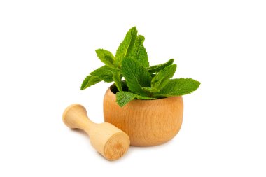 Beyaz arka planda izole edilmiş havan ve kabuklu taze nane. Melissa gider. Şifalı bitkiler, ilaç için havanda yeşil nane yaprakları. Mesaj için alan. Boşluğu kopyala.