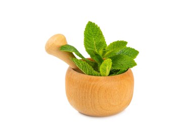 Beyaz arka planda izole edilmiş havan ve kabuklu taze nane. Melissa gider. Şifalı bitkiler, ilaç için havanda yeşil nane yaprakları. Mesaj için alan. Boşluğu kopyala.