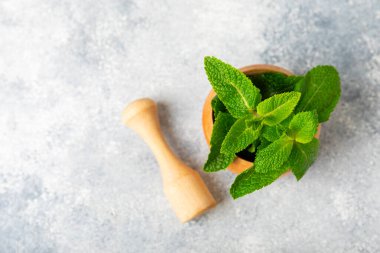 Ahşap zemin üzerinde havan ve kabuk ile taze nane. Melissa gider. Şifalı bitkiler, ilaç için havanda yeşil nane yaprakları. Mesaj için alan. Boşluğu kopyala.