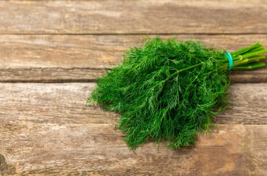 Ahşap arka planda Dill. Taze organik sebzeler. Dill çiftliği. Dereotu yapraklarını kes. Bahar genç deresi sürüsü. Vitaminler. İplik. Aromatik mutfak baharatı. Mesaj için yer. Boşluğu kopyala