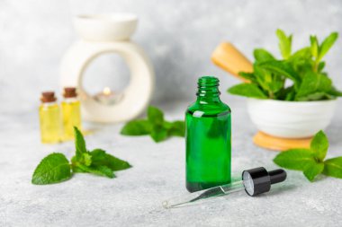 Ahşap bir arka planda esaslı bir nane şekeri. Naneli esaslı yağ ve taze nane yaprakları. Bir şişe aromaterapi yağı. Nane özütü. Doğal kozmetik konsepti, spa bakımı. Boşluğu kopyala