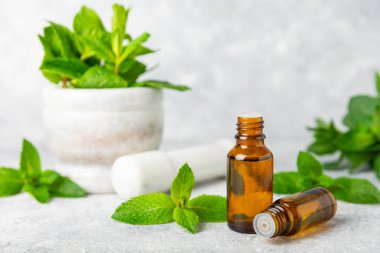 Ahşap bir arka planda esaslı bir nane şekeri. Naneli esaslı yağ ve taze nane yaprakları. Bir şişe aromaterapi yağı. Nane özütü. Doğal kozmetik konsepti, spa bakımı. Boşluğu kopyala
