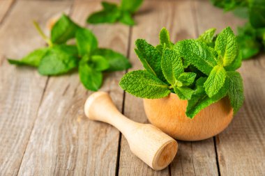 Ahşap zemin üzerinde havan ve kabuk ile taze nane. Melissa gider. Şifalı bitkiler, ilaç için havanda yeşil nane yaprakları. Mesaj için alan. Boşluğu kopyala.