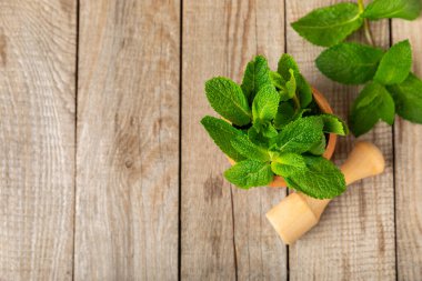 Ahşap zemin üzerinde havan ve kabuk ile taze nane. Melissa gider. Şifalı bitkiler, ilaç için havanda yeşil nane yaprakları. Mesaj için alan. Boşluğu kopyala.