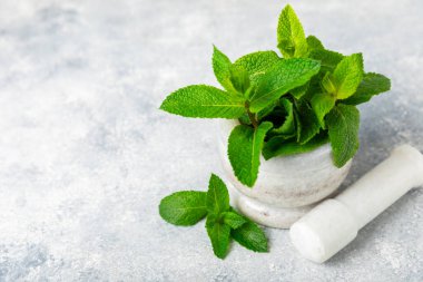 Ahşap zemin üzerinde havan ve kabuk ile taze nane. Melissa gider. Şifalı bitkiler, ilaç için havanda yeşil nane yaprakları. Mesaj için alan. Boşluğu kopyala.