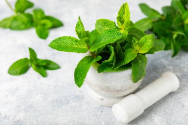 Ahşap zemin üzerinde havan ve kabuk ile taze nane. Melissa gider. Şifalı bitkiler, ilaç için havanda yeşil nane yaprakları. Mesaj için alan. Boşluğu kopyala.