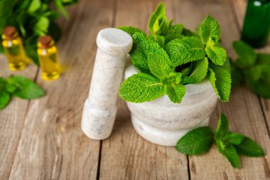 Salatalık suyu, limon, nane ve ahşap bir masada. İçme bardağında dilimlenmiş salatalık ile karıştırılmış su. Tonik ferahlatıcı bir içecek. Salatalık limonata. Doğal soğutma içeceği. Boşluğu kopyala.