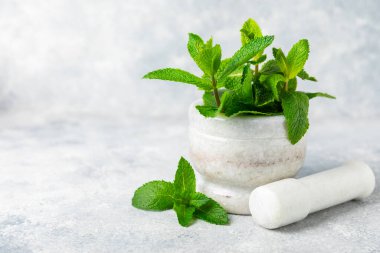 Salatalık suyu, limon, nane ve ahşap bir masada. İçme bardağında dilimlenmiş salatalık ile karıştırılmış su. Tonik ferahlatıcı bir içecek. Salatalık limonata. Doğal soğutma içeceği. Boşluğu kopyala.