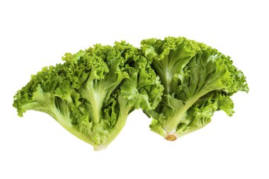 Beyaz arka planda izole edilmiş marul. Yakın plan, üst görüş, sağlıklı gıda kavramı..