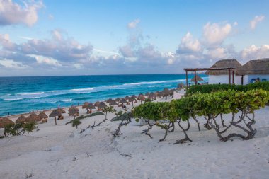 Gün doğumundan sonra Playa Delfines 'de çekilmiş canlı bir plaj fotoğrafı koleksiyonu. Meksika' nın Cancun kentindeki en ikonik halk plajlarından biri. Resimlerde yumuşak beyaz kum, turkuaz Karayip suları, palapalar (sazlı şemsiyeler) ve tropikal bitkiler yer alıyor.