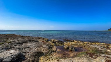 Okyanus sakin ve gökyüzü açık. Kıyıdaki kayalar yosun ve yosunla kaplıdır.