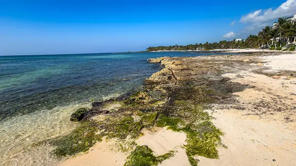 Kayalık bir kıyı şeridi ve açık mavi bir gökyüzü olan bir sahil. Su sakin ve sahil büyük ölçüde boş.