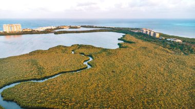 İçinden bir nehir akan yemyeşil bir orman. Nehir bir sürü ağaçla çevrilidir ve gökyüzü mavidir. Cancun Otel bölgesinin havadan görünüşü, Quintana Roo Mexico 