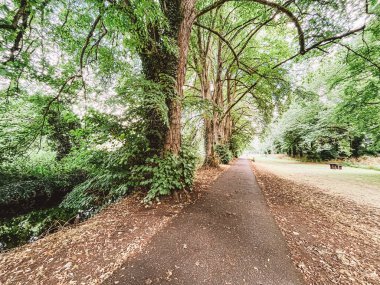 Kilkenny Ireland, Temmuz 2023 ağaçlı ve banklı bir parkta. Yol ağaçlarla kaplı ve sağ tarafında bir bank var Kilkenny, İrlanda