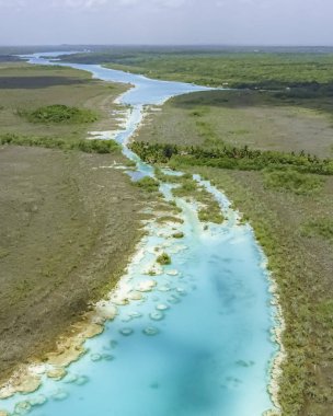 Bacalar, Mexico, Quintana Roo, Blue river with a green forest in the background. The water is clear and calm. The sky is blue and there are no clouds