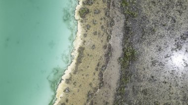 Bacalar, Mexico, Quintana Roo, Blue ocean with a sandy beach and a rocky shoreline. The water is calm and the sky is clear