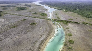 Bacalar, Mexico, Quintana Roo, River with a greenish tint runs through a desert. The water is murky and the surrounding area is dry and barren