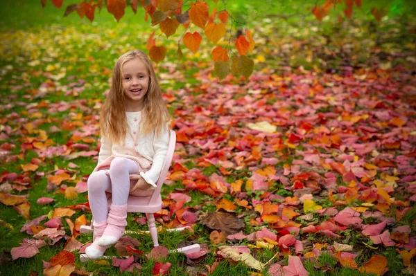 stock image A cute five-year-old girl in a white sweater and a pink skirt and pink socks on a pink swing chair in an autumn garden - red, yellow leaves. Blurred background. Selective focus on the child.