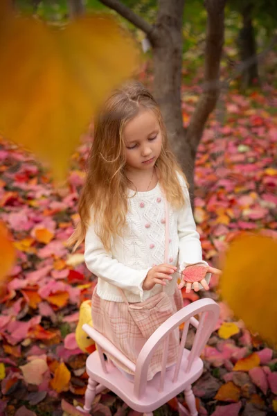스웨터를 귀엽고 아이가 정원에 노란색 나뭇잎에 스커트와 양말을 흐릿하다 선택적으로 — 스톡 사진