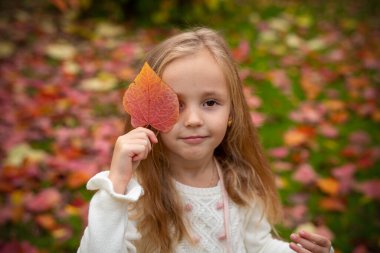 Sonbahar yürüyüşleri, tatillerde çocuk eğlenceleri, sonbahar havası. Güzel, küçük bir kız yüzünün yarısını sonbahar kırmızı-turuncu yaprağıyla kaplıyor.