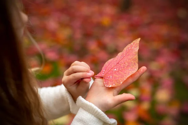 Koncept Podzimní Nálady Deštivého Počasí Dětské Zábavy Přírodě Červený List — Stock fotografie