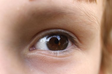 Vision, eye care, medicine, childhood. A close-up shot of a childs brown eye. Selective focus. Macro