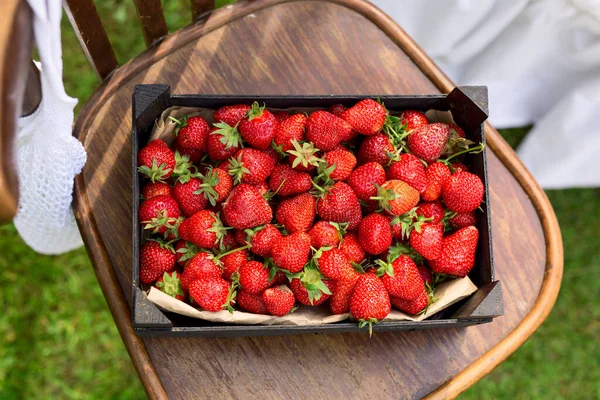 Strawberry harvest, summer vitamins. Black wooden box with red fresh ripe strawberries on a brown chair in the garden. Selective focus
