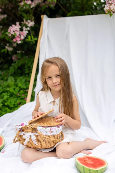 드레스를 귀여운 소녀가 나무가 정원의 피크닉에서 피크닉 바구니와 — 스톡 사진