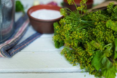 Koruma, hasat, tarım. Beyaz arka planda salatalıkları korumak için bir buket yeşil sulu dereotu, bir kase tuz, bir havlu..