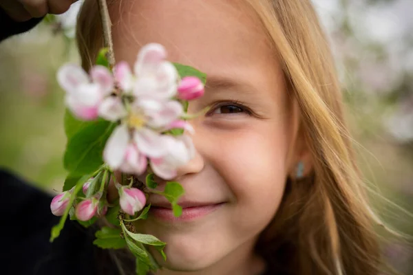 과수원 사과나무의 꽃으로 반쯤덮여 소녀의 — 스톡 사진