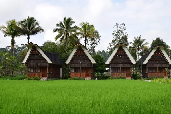 Ferienhaus Der Natürlichen Touristischen Gegend Von Tana Toraja Indonesien — Stockfoto