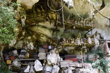 Coffins and graves were placed in rock cliffs. This method is a tradition used as a grave for people who died in the Tana Toraja tribe, Sulawesi